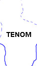 Tenom